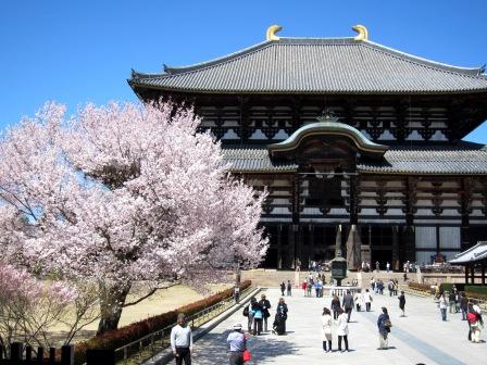 2011-4-大阪奈良 014.jpg